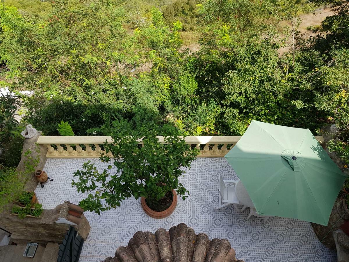 Nuevo Loft El Carpintero Daire Vejer de la Frontera Dış mekan fotoğraf